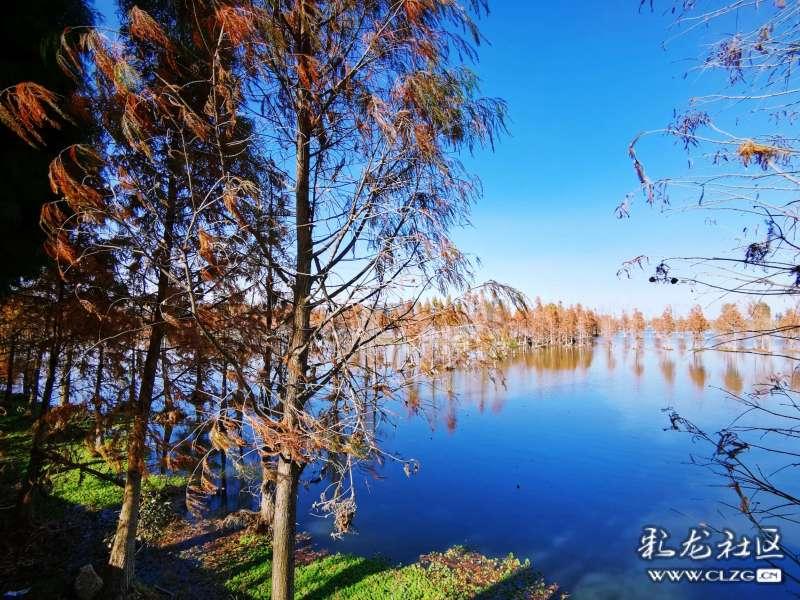 云南广南：念好“选育管用”四字诀 打开团干部队伍建设新格局